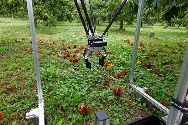 アトラックラボのくり収穫ロボットArm-I